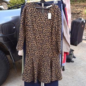 Ann Taylor loft dress